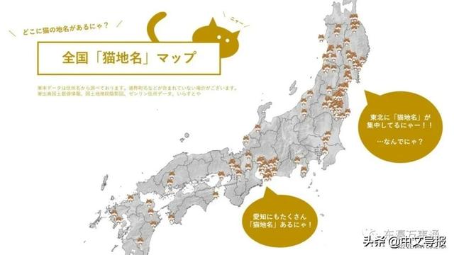 20220222：今天是百年难得一见的超级猫咪日