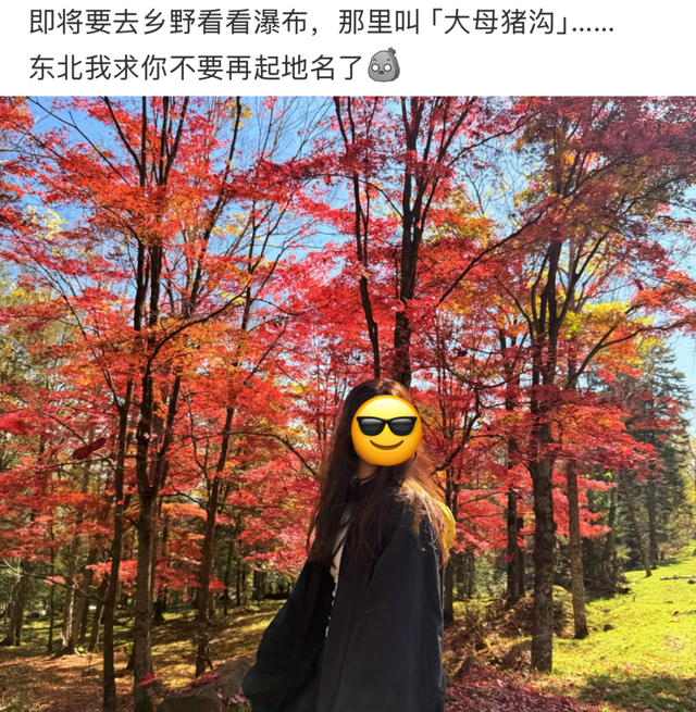 东北“屁股沟”，成了年轻人的瑞士平替