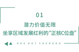 东安湖一线瞰湖清水15598元/㎡起 机会不多 下手要快图片