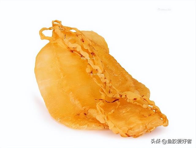 花胶哪里的好 2026年花胶哪里的好吃