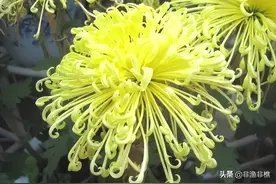夫妻之间，有一种愚蠢，叫“疑神疑鬼”图片