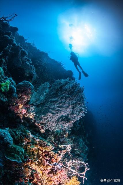 潜水员视角看《消失的她》:李木子困在深海观鲨笼里，还能自救吗