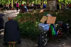 老式理发店里寻觅旧时光图片