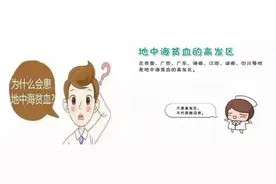 一文读懂地中海贫血图片