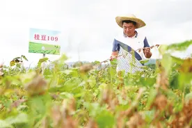 农业贴息新规大胆突破，三亚打造农业企业集聚高地图片