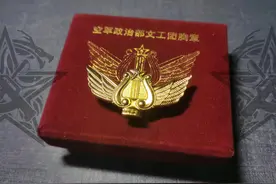 【军饰收藏】:空政文工团胸章图片