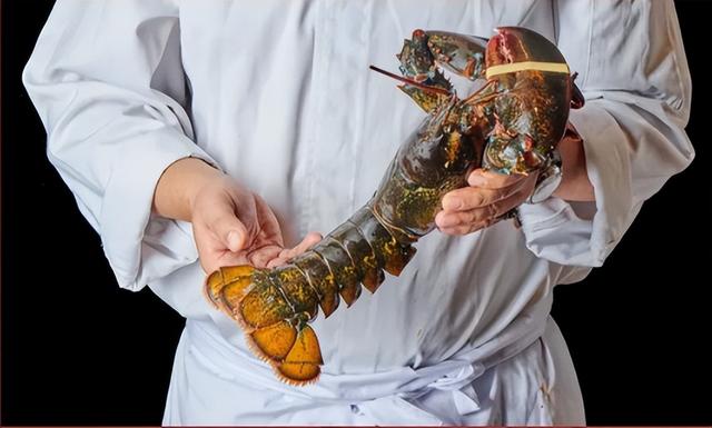 浓汤鸡丝花胶 2025年花胶鸡丝汤的做法大全