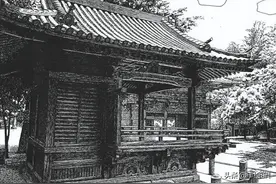 非常写实的钢笔画图片