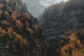 多少人借无可借图片