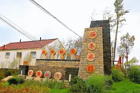 潍坊创建“东亚文化之都”|“朐这里看乡村美”——走进省级美丽乡村示范村、进士故里柳山西翠飞图片