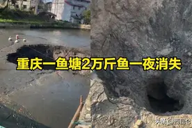 真相是什么？重庆一鱼塘2万斤鱼和水一夜消失，网友猜测：有古墓图片