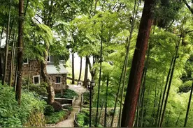 1959年，毛泽东游莫干山，作诗一首，皇后饭店将诗镶在屏风上展示图片