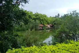 杭州湾海上花田景区旅游攻略图片