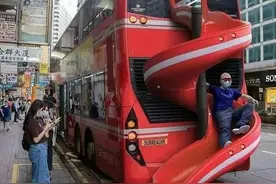 今日冷知识：蚂蚁可以嗅出癌症？图片