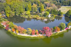 九 怎样分辨虚词“乃”的用法图片