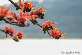 鲁迅的小说是不是在表达惩恶扬善图片