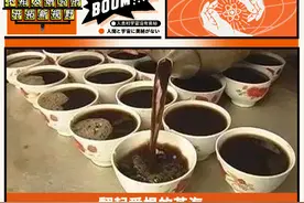 喝了一次广东凉茶，感觉这辈子都不热了图片