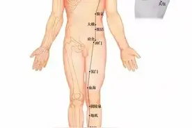 浅谈脾为阴中之至阴图片
