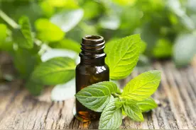 壮阳食物能壮阳吗？这4个“壮阳大法”都是忽悠人的，别被骗了图片