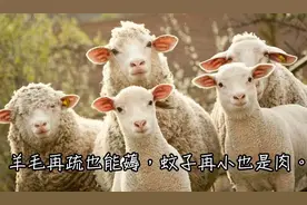 支付宝上的几笔保险羊毛，就得这么薅图片