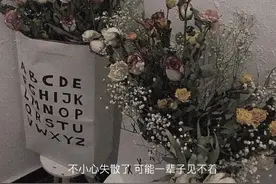 或许不谈感情，我们都很快乐图片