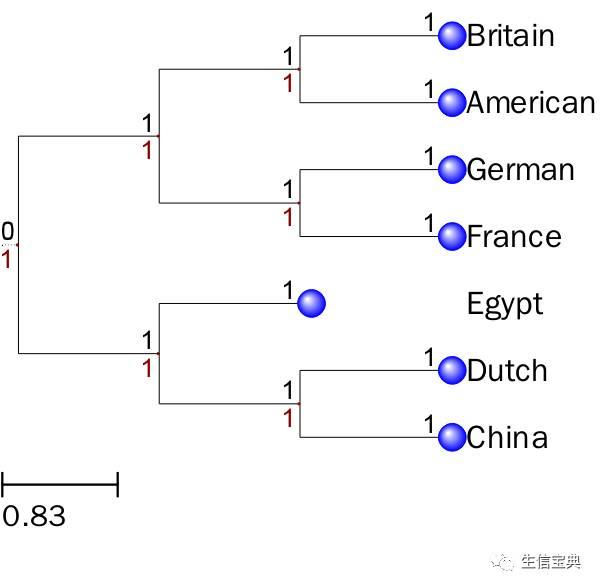 ETE构建、绘制进化树