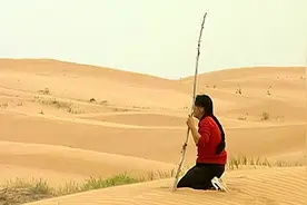 19岁少女被父亲远嫁荒漠，造林7万亩，15年后被授予“时代楷模”图片