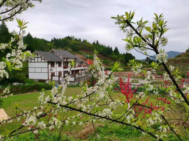 四川省民生研究会新媒体中心-官网