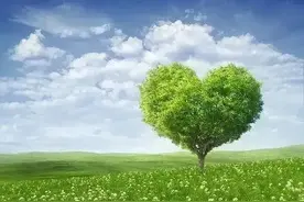 圆周率顺口溜图片