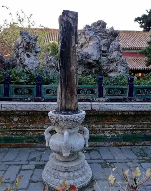 走进故宫｜御花园（1）