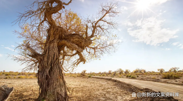 烦躁，心情不好的说说，每天活着很累的伤感文案，治愈心灵的句子