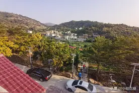 山上生态池塘建造全过程分享 不一样的生态池塘图片