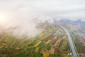 河北省2022年实际种粮农民一次性补贴标准：每亩补贴多少钱？图片