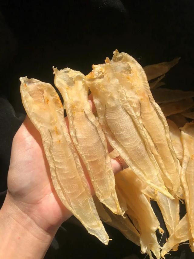 最贵的鱼胶多少钱一斤 最贵鱼胶多少钱一斤2023年价格