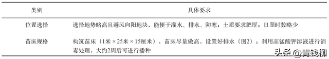 东北红豆杉种子采集与播种技术