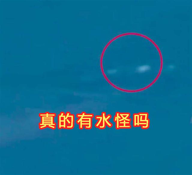 新疆喀纳斯湖水怪之谜最新消息 新疆喀纳斯湖泊发现水怪