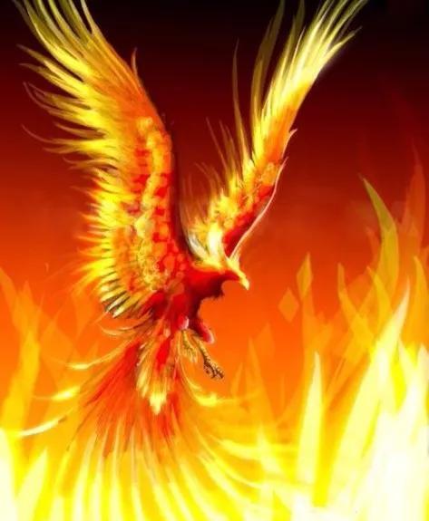 凤凰涅磐是什么意思「凤凰涅磐寓意好不好」