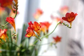 易混标点符号用法比较图片