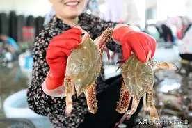 买螃蟹时，挑大挑小都不对，老渔民：牢记3点，螃蟹个个膏多肉肥图片