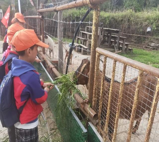 四川省民生研究会新媒体中心-官网