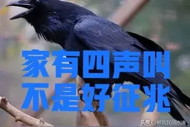 老话说：“家有四声叫，不是好预兆”，是哪四声？到底有没有道理图片