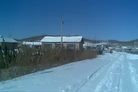 东北热点：饭店内打架，用烧烤签戳脸；路怒后，拿出棍冲向前车？图片