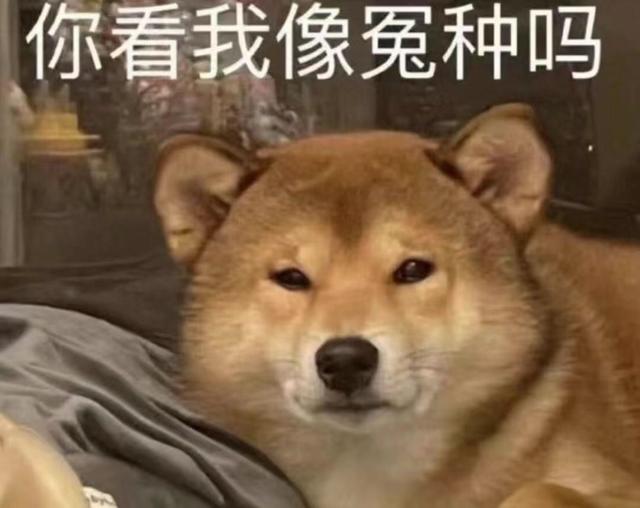 四川主流自考院校申请学位证的要求汇总，不考外语也行吗？