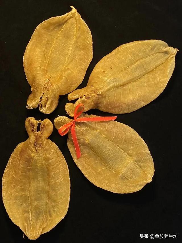 花胶 澳洲 2026年澳洲花胶液有什么好处