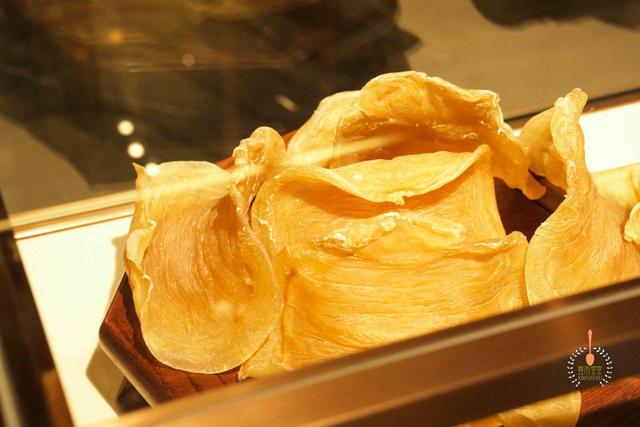 北京哪里能买到好的花胶 2026年北京哪里买花胶比较好