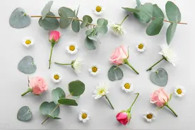 命苦的人，开口闭口都是这3句话，福气都被赶跑了图片