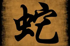 命苦过黄连！为什么属蛇的你这一生诸多不顺，什么时候能翻身？图片