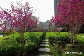 保定楼市性价比相对来说比较高一些的二手房小区推荐图片