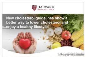 哈佛医学院：降低胆固醇和享受健康生活方式的更好方法！图片