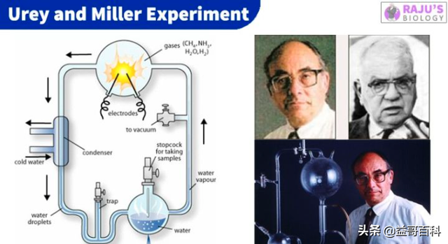在地外首次发现生命的存在？氨基酸的发现意味着什么？